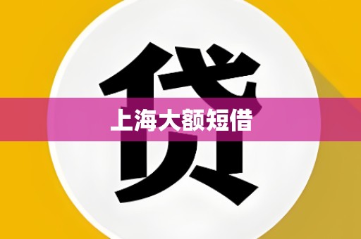 上海大额短借 上海大额短借
