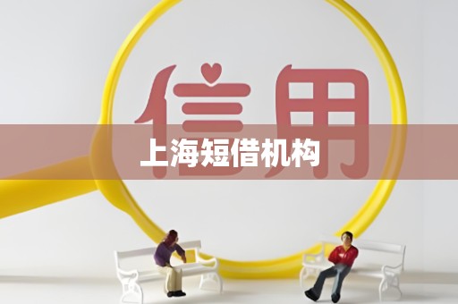 上海短借机构