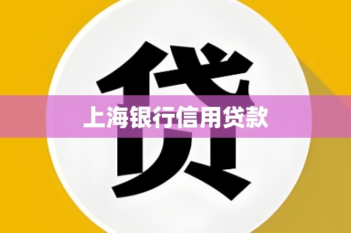 上海银行信用贷款