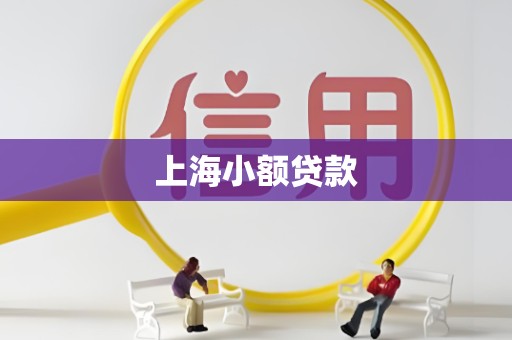 上海小额贷款 上海小额贷款